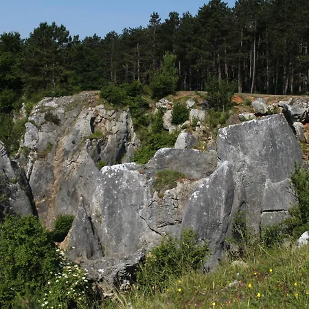 Apartamento Le Petit Nid - 3 *