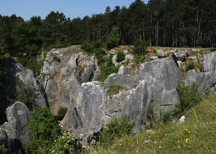 Apartamento Le Petit Nid - 3 *