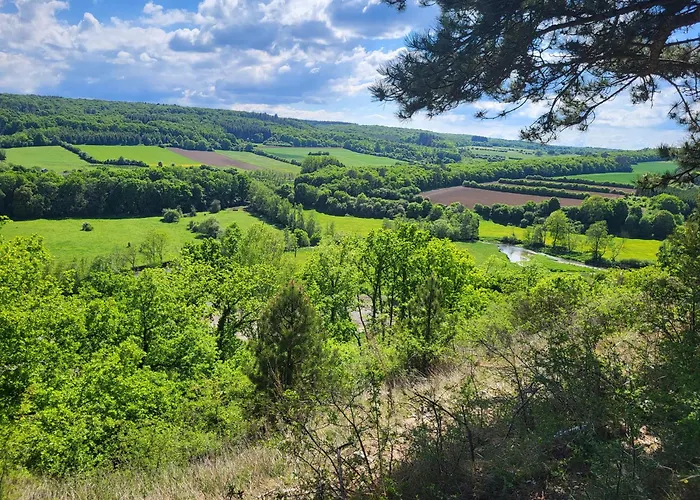 Le Petit Nid - 3 * Couvin